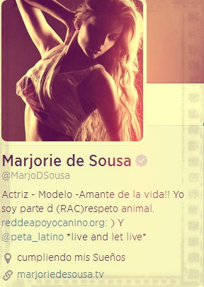 Twitter Oficial de Marjorie De Sousa 